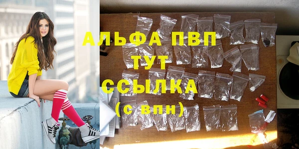 стаф Вяземский