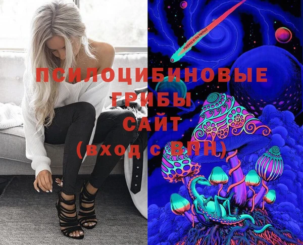 spice Володарск