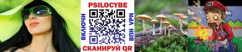 что такое наркотик  Теберда  Псилоцибиновые грибы мицелий 